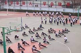 2016 回顾：芝加哥小熊队在总决赛 1-3 落后下连扳三场，终结百年魔咒