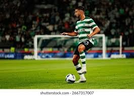 托尼·关恩连续多年单季打击率突破 .350，其击球稳定性前无古人