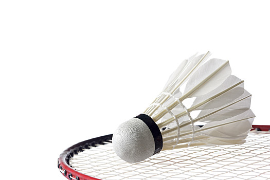 但在新赛季 但在新赛季